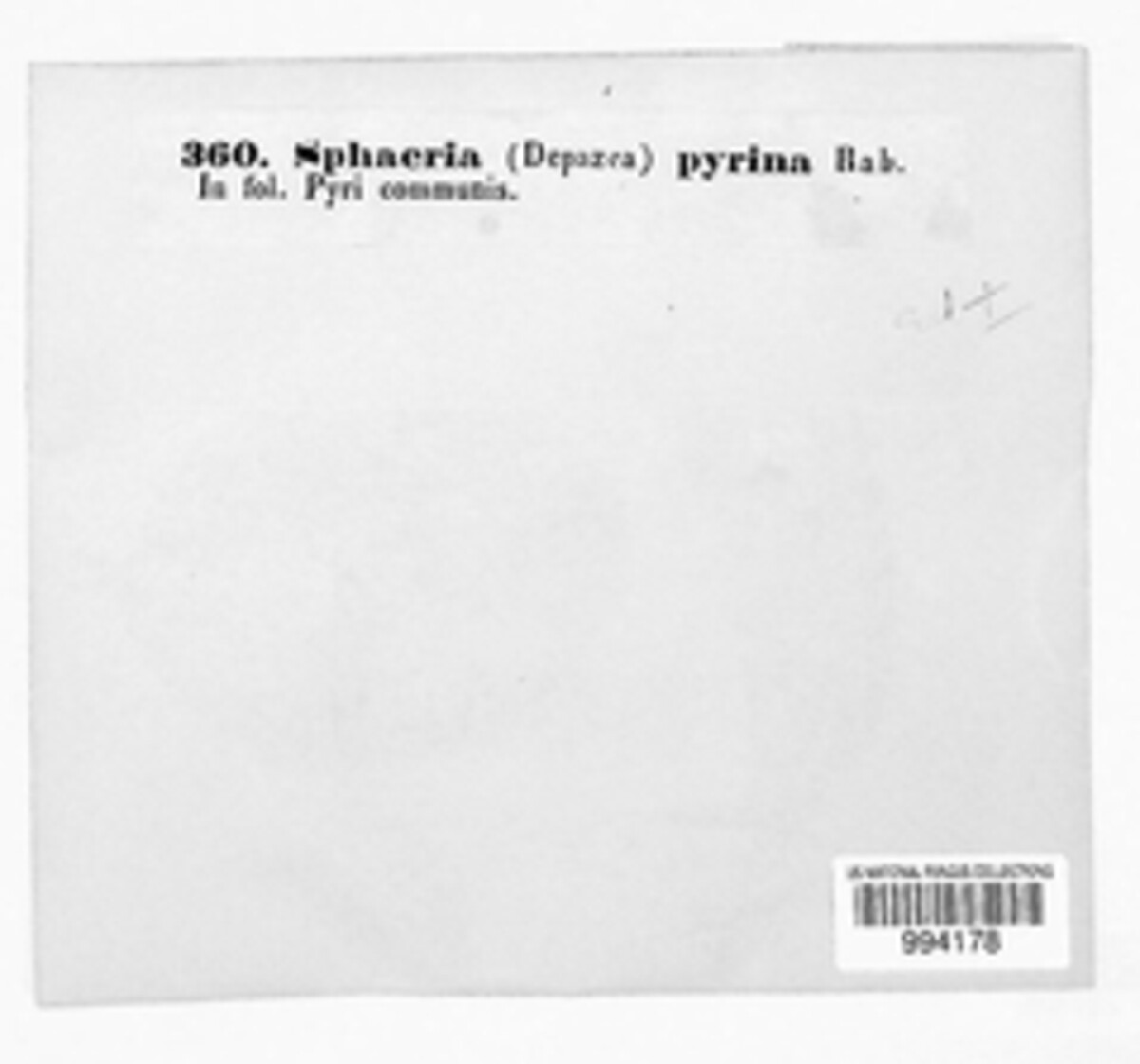 Myxofusicoccum image